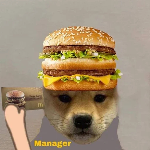 dogwifhat tweet media