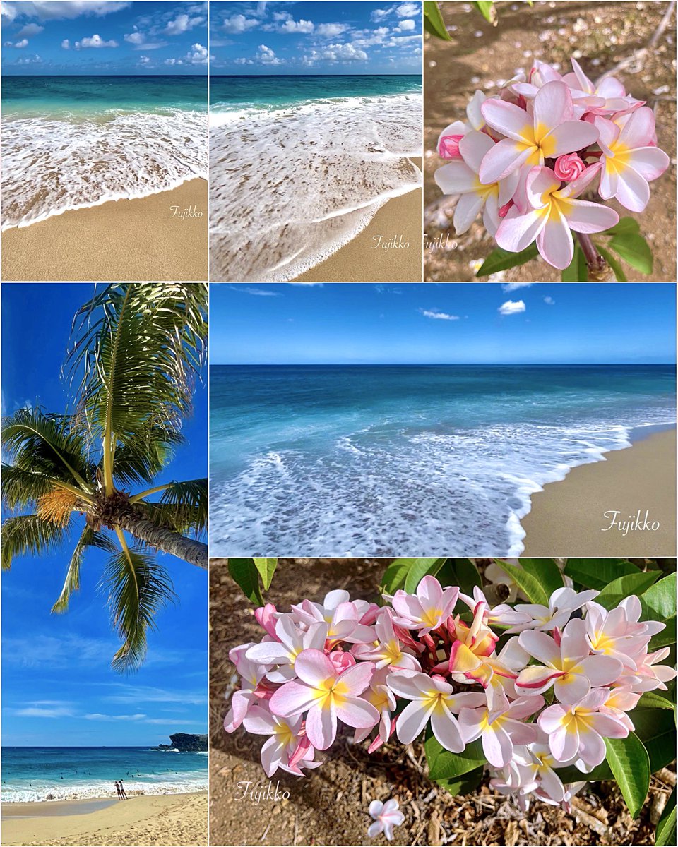 🌴 Hawaii ┈𖤣𖥧𖥣 𝐻𝒶𝓋𝑒 𝒶 𝓌𝑜𝓃𝒹𝑒𝓇𝒻𝓊𝓁 𝒹𝒶𝓎 𖠿𖥧𖥣 ┈