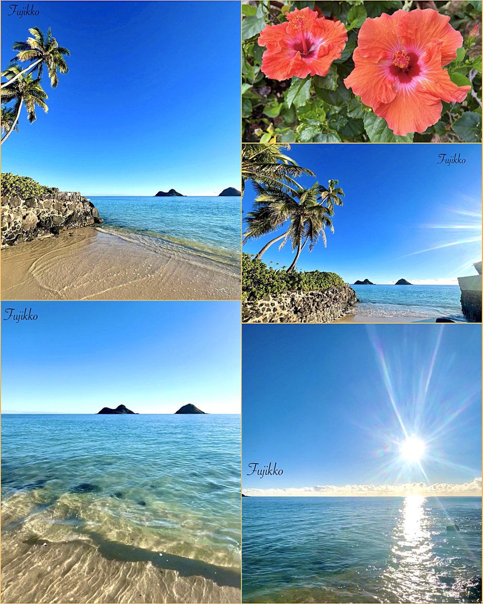 🌺🍃 Hawaii 　 🦋⋆𓈒･:*࿐ 𝒢𝑜𝑜𝒹 𝓂𝑜𝓇𝓃𝒾𝓃𝑔🌿