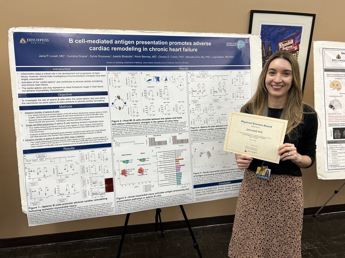 Congratulations ⁦@JLovellMD⁩ 2024 ⁦@HopkinsMedicine⁩ physician-scientist awardee! ⁦@hopkinsheart⁩ chief fellow and superstar cardiac immunology researcher