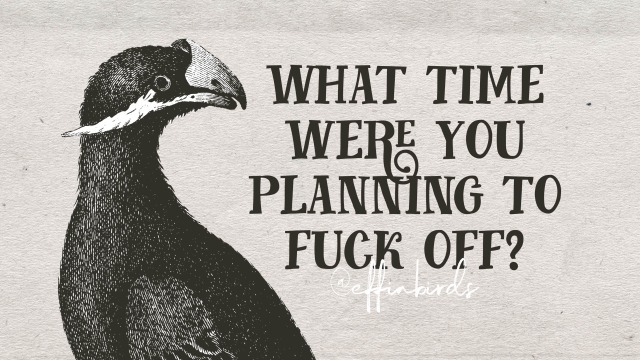 EffinBirds's tweet photo. https://t.co/TLL5MGU2Uu