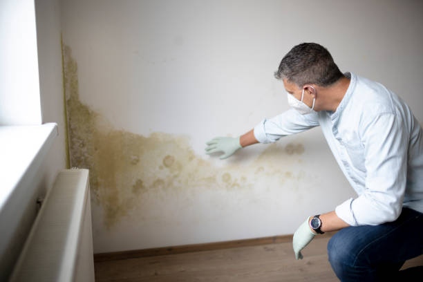 Our mold cleaning service includes:
1. Arrival
2. Air Duct Inspection and Basic Cleaning
3. Evaporator Coil & Blower Motor Cleaning
4. Mold Remediation and Treatment
5. Customer Approval & Departure 

#ductcleaning #clean #hvac #hoodcleaning #airductcleaning #indoorairquality ...
