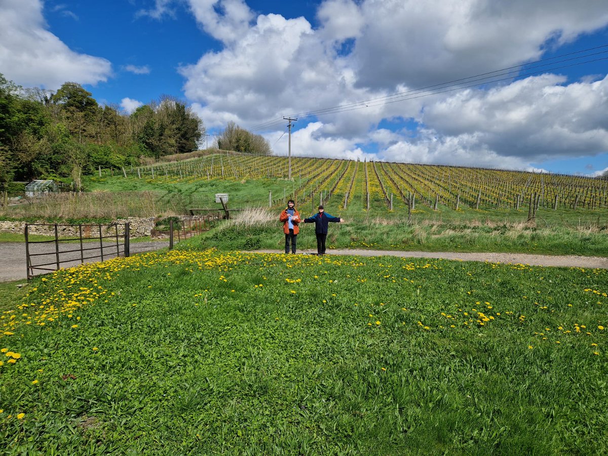 George Allen (he/him) tweet media