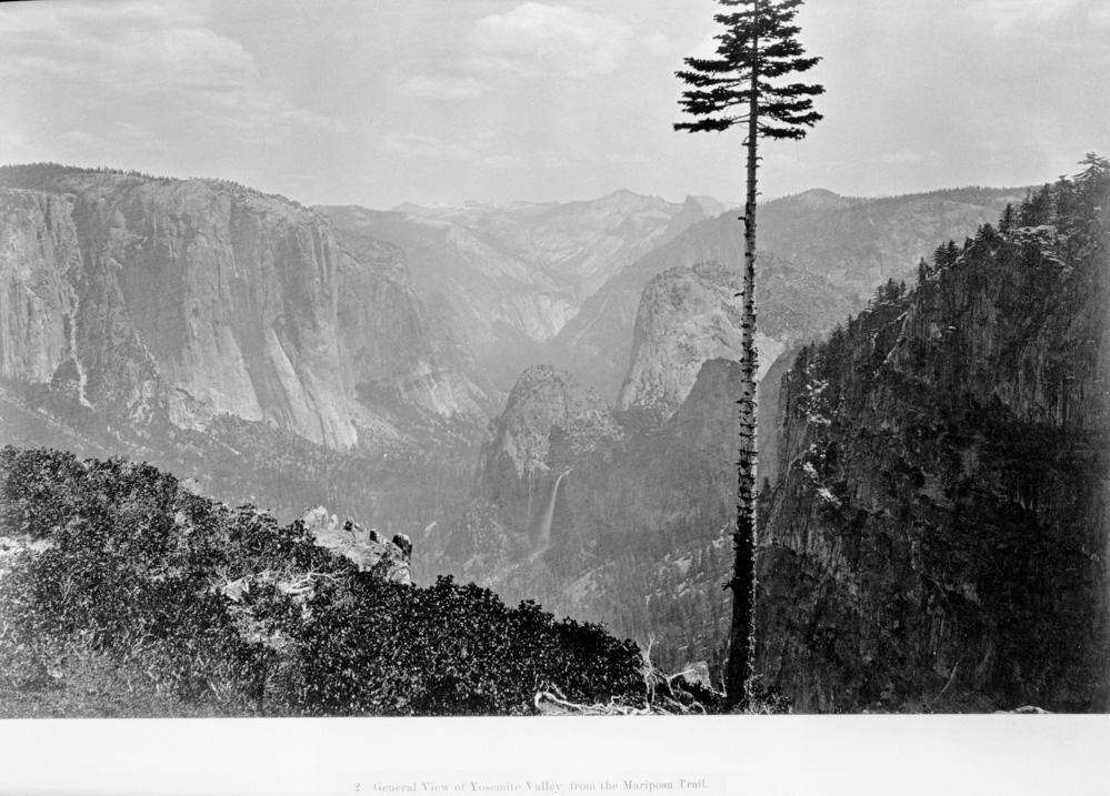 #ParkChat Q9: Early photographers like Carleton Watkins had mule trains carry all the equipment they needed to take a photograph. Now we have smart phones in our pockets. What are some of your favorite photos of national parks? @59nationalparks @naturetechfam 📷 courtesy of NPS