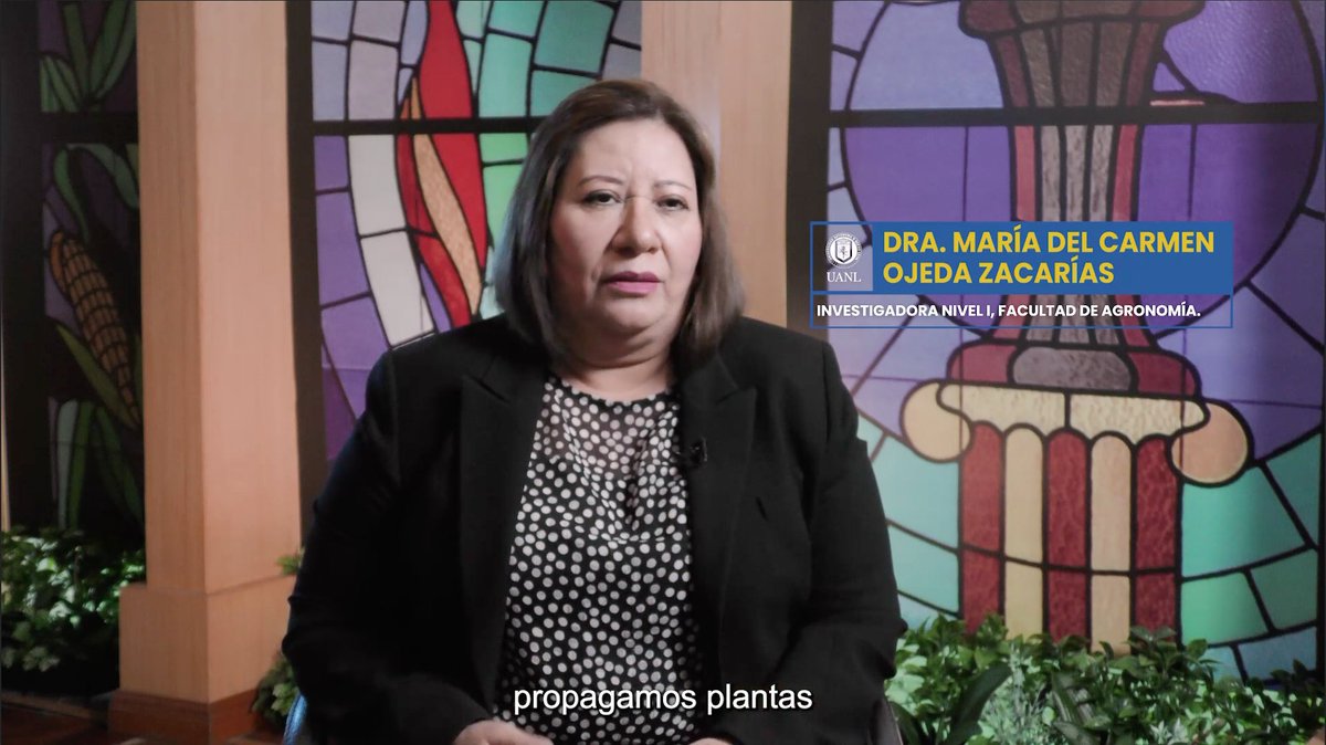 El uso de la micropropagación tiene beneficios ecológicos, los cuales son objeto de estudio de la Dra. María Ojeda, investigadora de la #FacultadDeAgronomía. ¡Conoce más! youtu.be/kBqcMm5G3p4 #InvestigadoresUANL