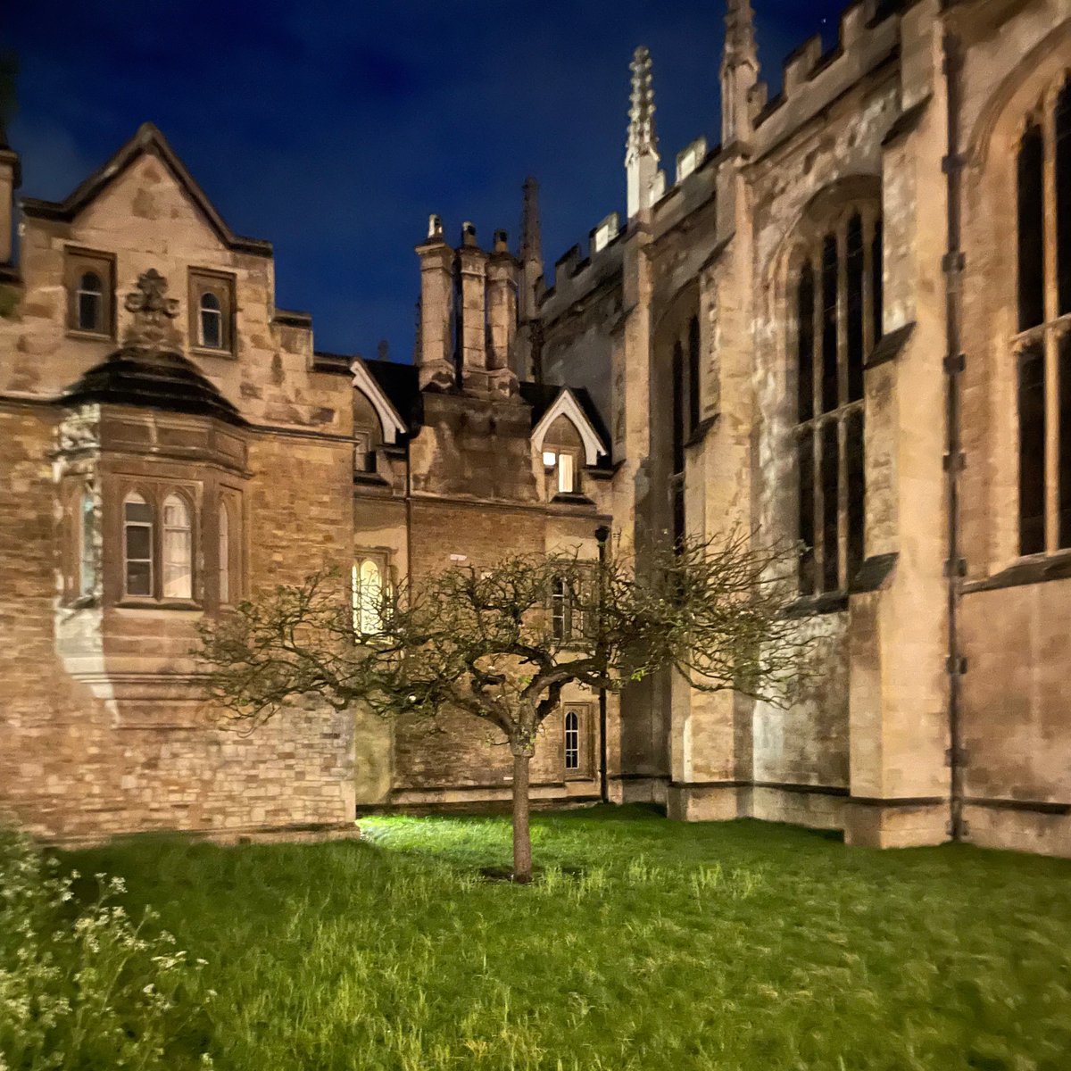 LuisAlonsoBaez1's tweet photo. Contemplating the physics of Newton's tree (or one of its descendants?) together with @MichaelaTichaS before the #UKPlantBiomech day. We will present our research on molecular tension biosensors and Brillouin microscopy of plant cells. Looking forward to making new connections. https://t.co/ud5cI7H7pF