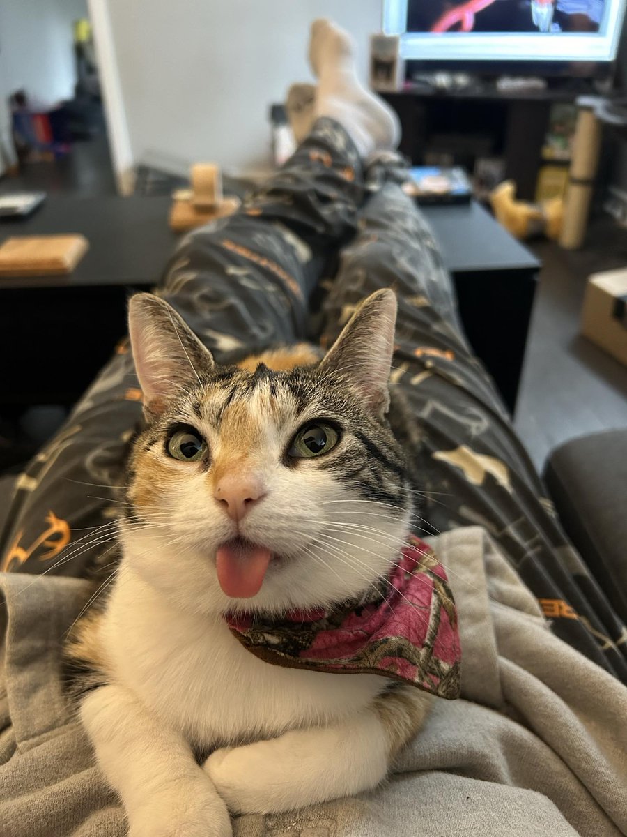cmcewen_4's tweet photo. @weirdlilguys A very happy Mlep https://t.co/xftNmVWibb