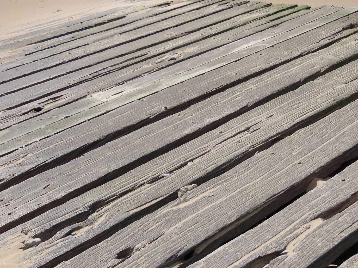 Boardwalk in the sunshine & wind yesterday at Burnham