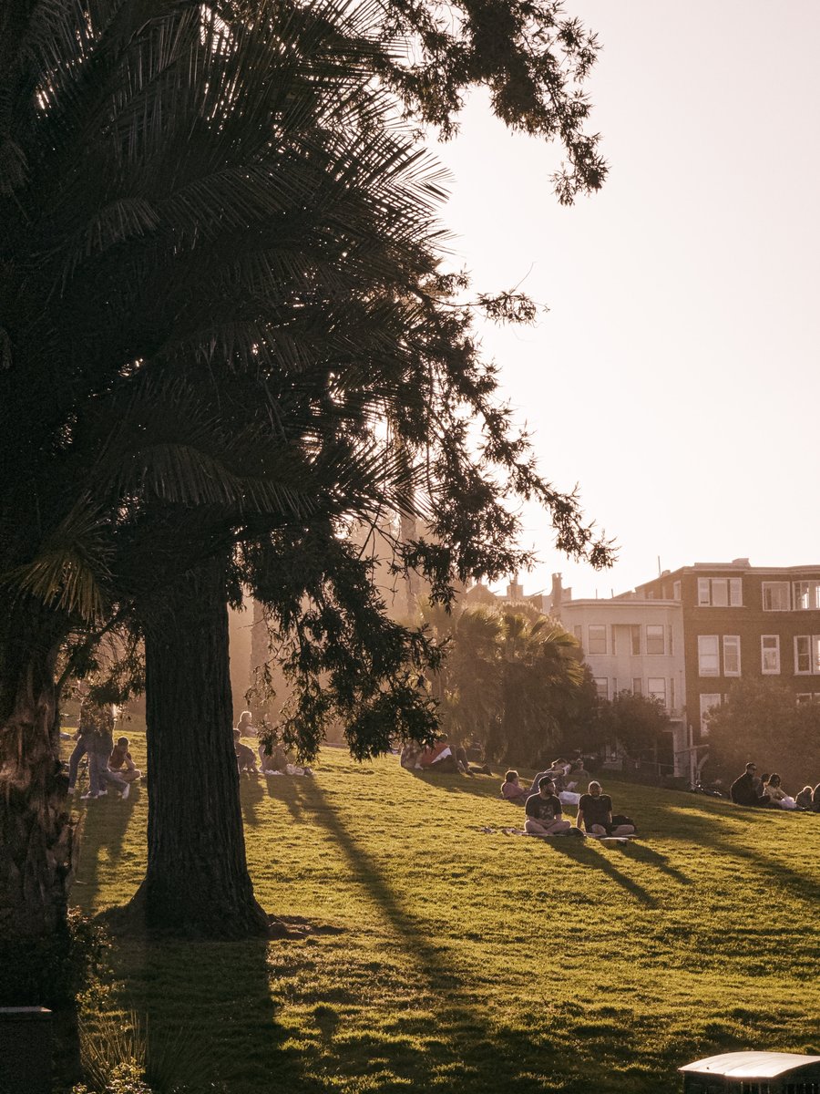 Always great spring light in SF. I love these sunny, warm park days.