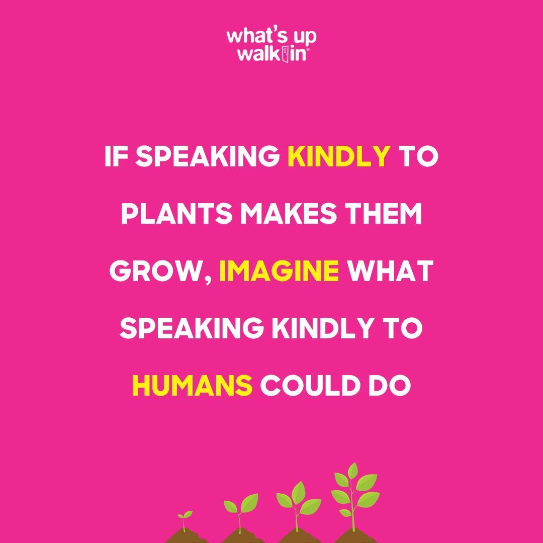 It's cool to be kind. Just as plants respond well to kind words and actions, humans also thrive when treated with kindness and compassion. 🪴 ❤️  Connect with one of our therapists today! Visit whatsupwalkin.ca for locations and hours #WhatsUpWalkIn #YouthMentalHealth