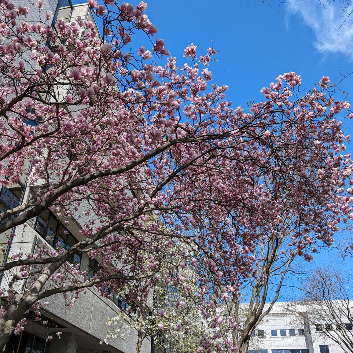 Mary Jo Ondrechen tweet media