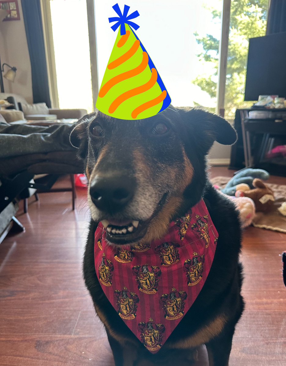 Hey everypawdy! Guess who has a birthday today? That’s right. Me! I’m 7 today! Getting to hang with Papa today. Momma and Minnie are out. Nice, quiet day. I hope you all have a reason to celebrate something today 🩷