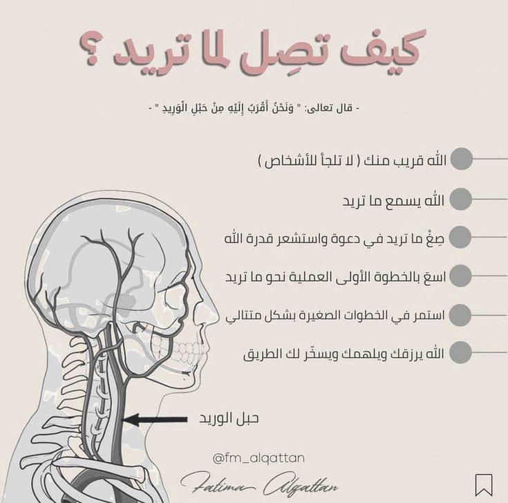 G67ii5's tweet photo. ملامسة لطيفة لِقلبك :﴿ وَنَحنُ أَقرَبُ إِليهِ مِن حَبلِ الوَريدِ ﴾🫀🤍. https://t.co/0s0Mup7hZO