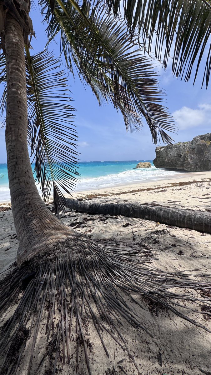 A few hours @ Bottom bay today, such a stunning place to take some time out 🇧🇧