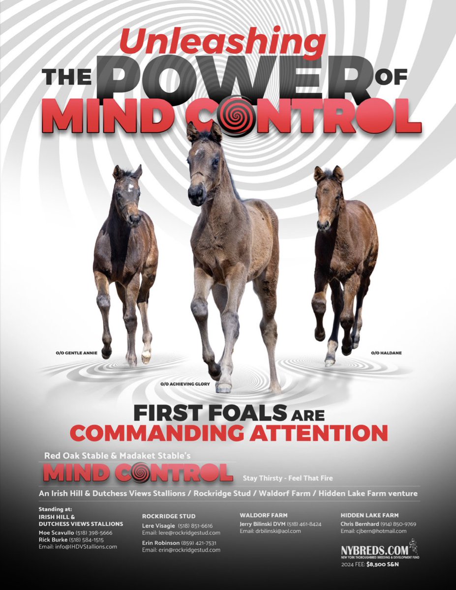 Unleashing the power of MIND CONTROL 🌀 First foals are commanding attention! @rockridgestud @IhdvStallions @nytbreeders