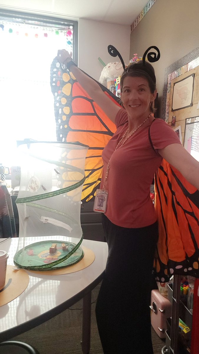 2ndGrade4Ever's tweet photo. We have completed watching the lifecycle of a butterfly in class. All of our caterpillars emerged from their chrysalis. Today was the perfect day to release them, and I had the perfect outfit! #NCExcels https://t.co/iKKNmGXuvF
