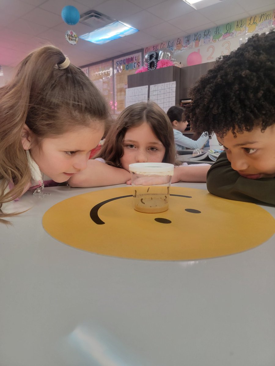 2ndGrade4Ever's tweet photo. We have completed watching the lifecycle of a butterfly in class. All of our caterpillars emerged from their chrysalis. Today was the perfect day to release them, and I had the perfect outfit! #NCExcels https://t.co/iKKNmGXuvF