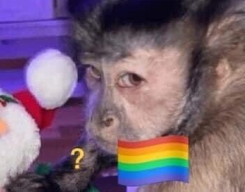 *le toco el qlo a mi hermano y no c mueve*
Yo en automático:
