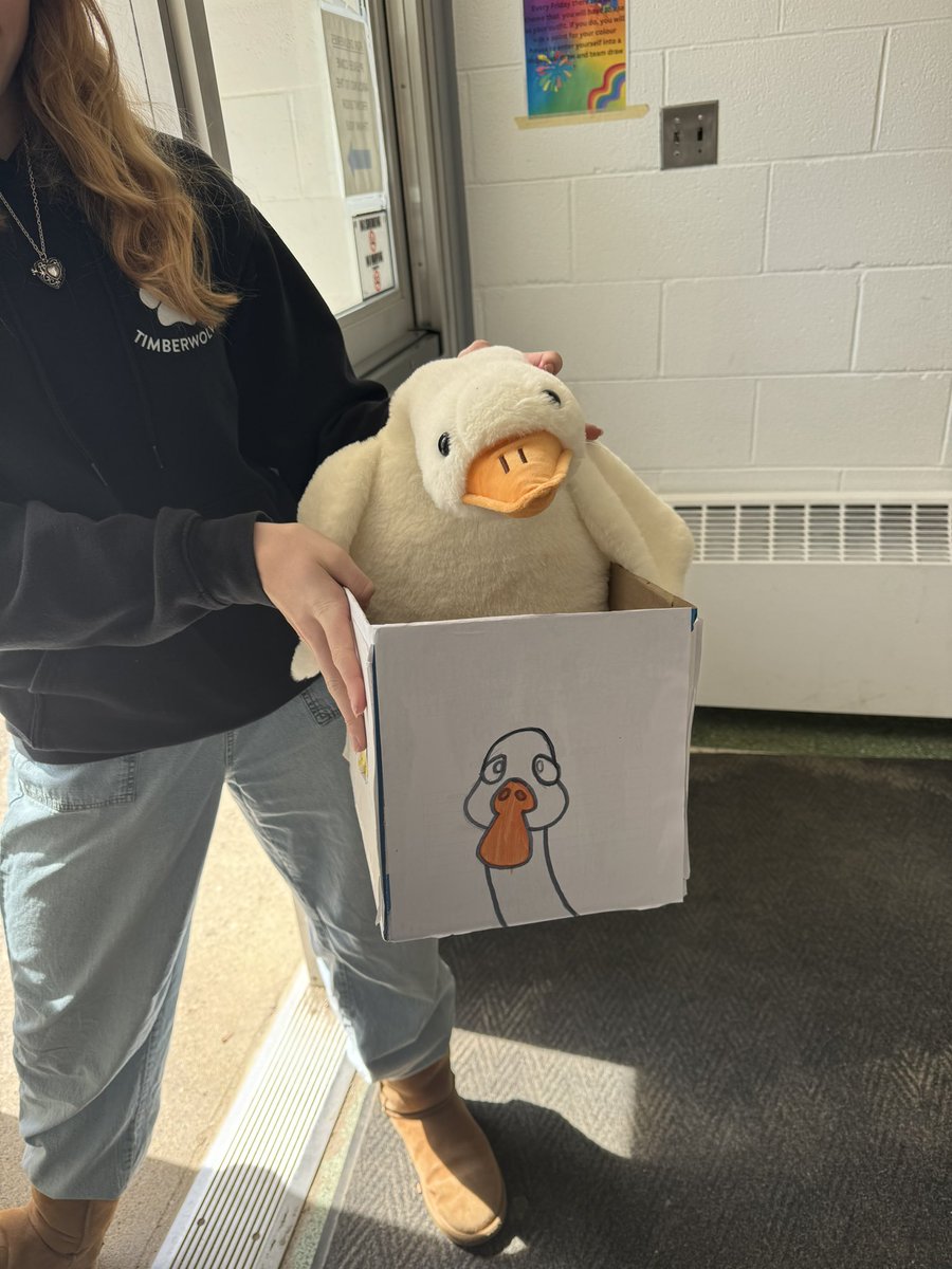 sttcatholic's tweet photo. National GOOS paper day was April 5th. Classes created a GOOS paper bin using recycled materials. Congratulations to ELKP2 @Miss_DiFelice for winning the challenge! 2nd place to Gr. 1, 3rd place to Gr. 7/8, &amp; honorable mention to Gr. 6/7 for their actual “goose” bin!! @BHNCares https://t.co/URNg6S4RgT