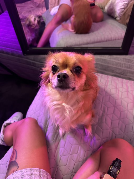 Beobachtungs-Modus: ON 😄 https://t.co/acWc8LrpMz