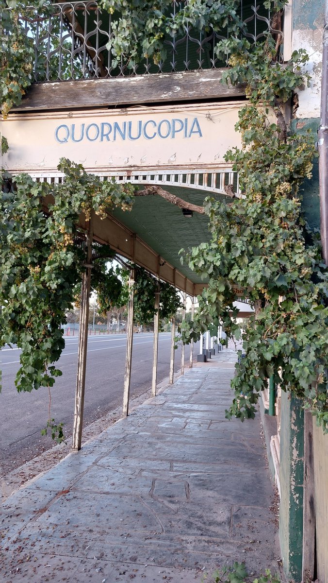 #FromTheArchives 
Covered pedestrian footpath along the Quornucopia in the historic town of #QuornSA #SouthAustralia #Australia 
#TravelOz #Travel #History