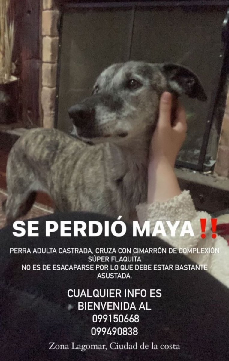 ayudan con un RT?? Gracias 🥺