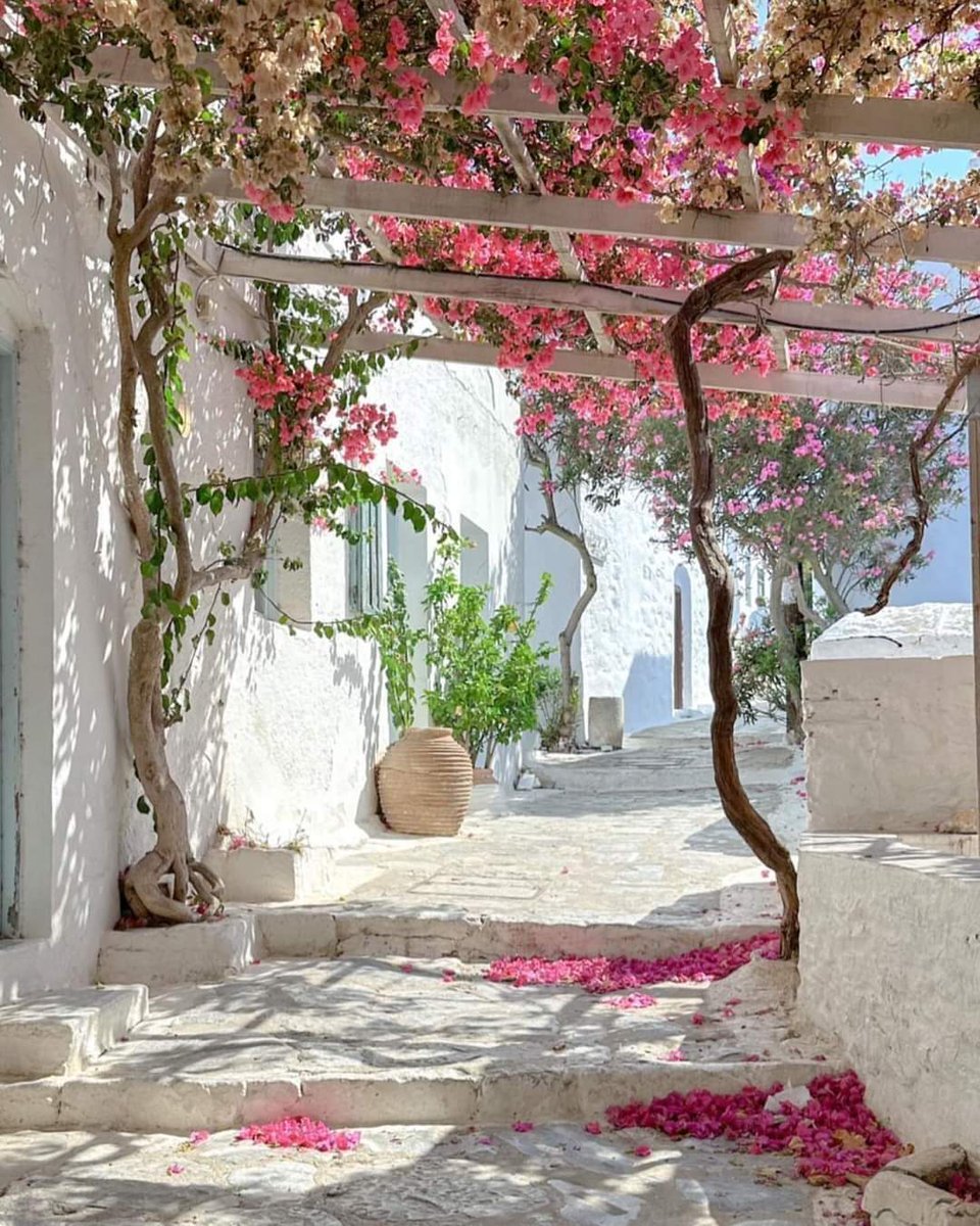 Amorgos Island, Cyclades, Greece #WeLoveGreece