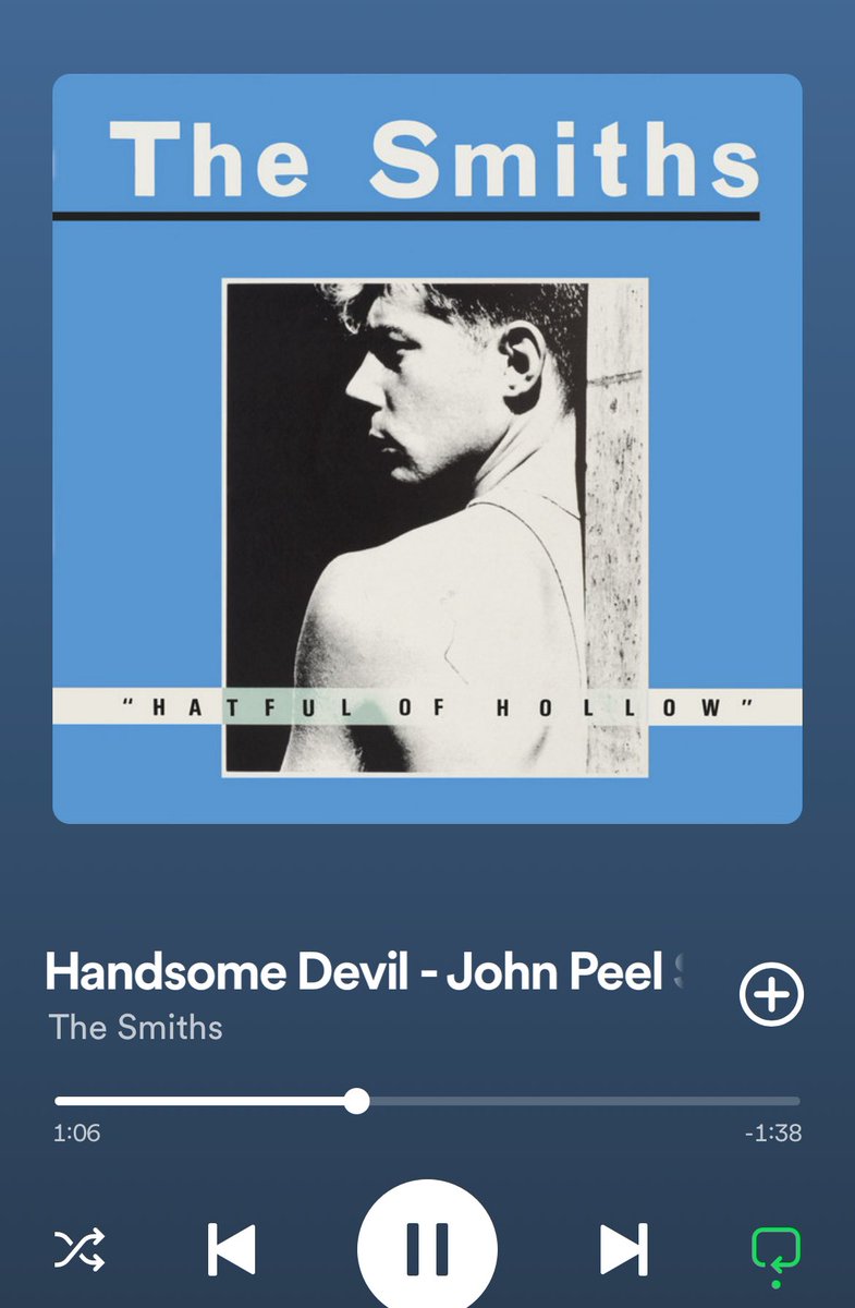 Infinite Jest on Netflix tweet media