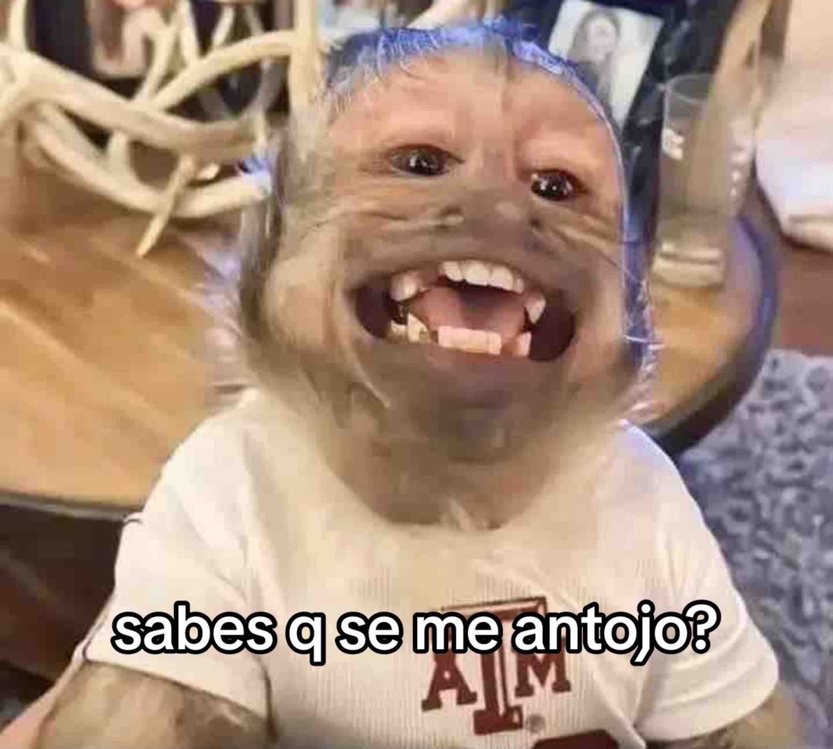 Nadie:

Yo de la nada: