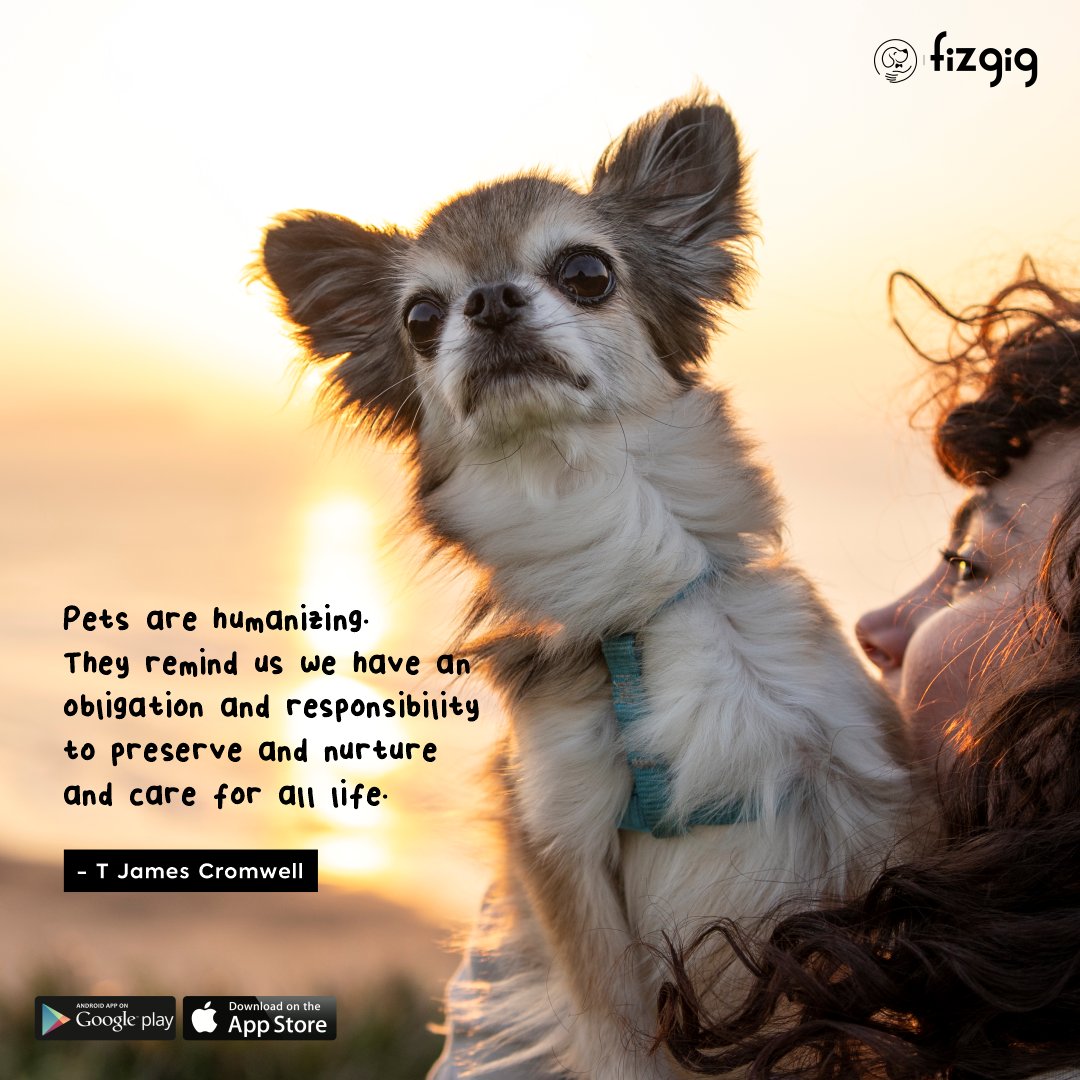 🐾 Discover the joy of responsible pet care with Fizgig. Let's nurture and care for all life together! #PetCare #FizgigApp
