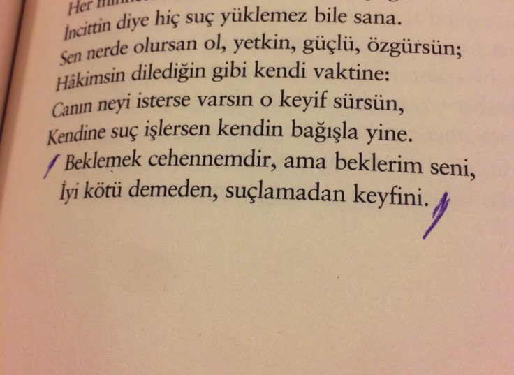 “Beklemek cehennemdir, ama beklerim seni,
İyi kötü demeden, suçlamadan keyfini.” (s.58)

*William Shakespeare, Soneler