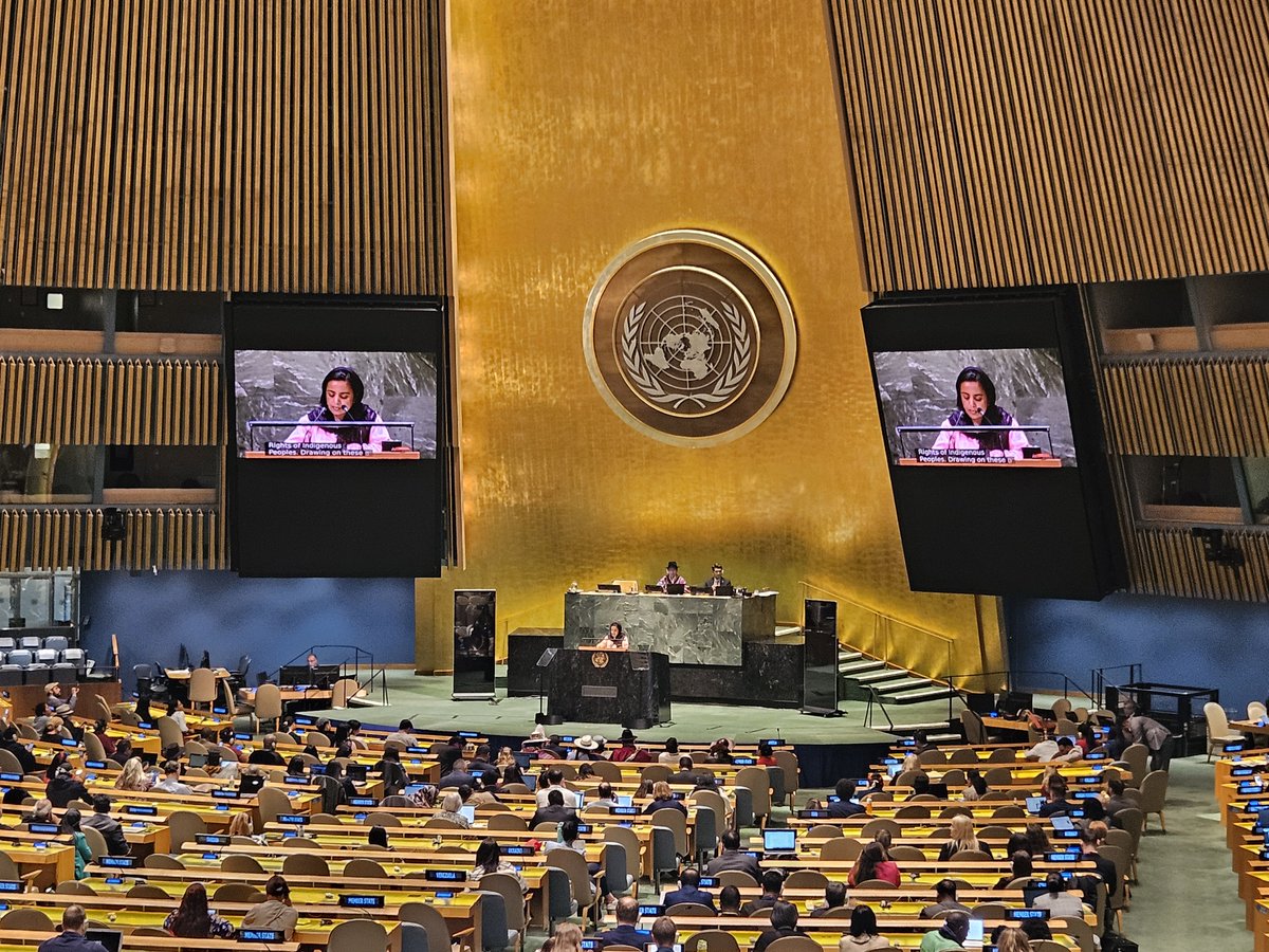 🌿At the #UNPFII General Assembly, @MAboubakrine emphasized assessing the current state of health for #IndigenousPeoples with relevant indicators. Ărramăt promotes collaboration among #IndigenousPeople, #IndigenousWomen, & #IndigenousYouth, driving impactful progress!🌍✨ #NFRF