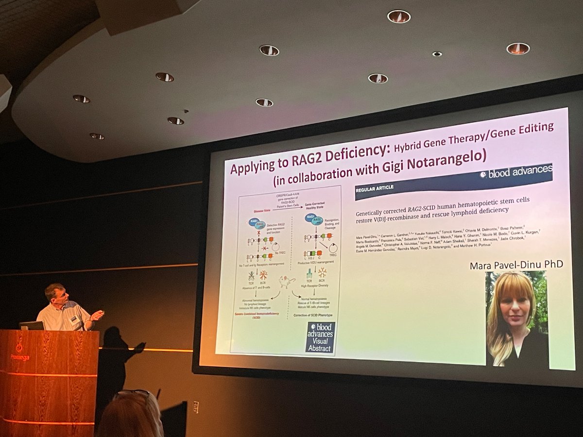Rockstar pediatric hematologist Matthew Porteus @StanfordMed reviews usage of CRISPR/Cas9 to edit HSCs to correct beta-globin and RAG2 as a treatment for #sicklecelldisease and #SCID @UWSCRMC @BTCInstitute1 Also knockouts CCR5 while knocking-in neutralizing antibody to treat #HIV