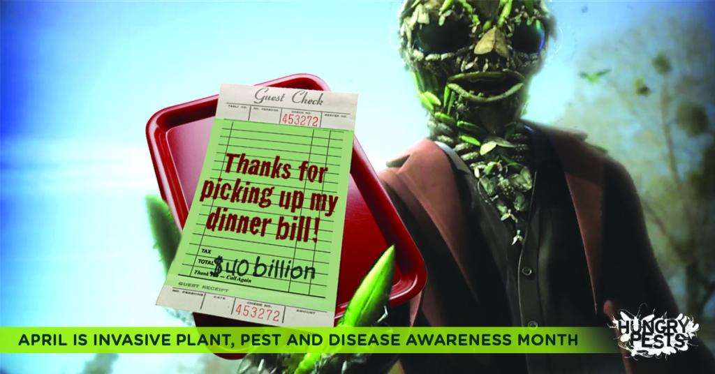 Invasive  plant pests cost the nation $40 billion a year in damages–that’s quite a  bill! Join @HungryPests in reducing their impact by learning how to  spot and report them. We each have a role in preventing their spread.  Learn more at aphis.usda.gov/plant.../hungr…. #IPPDAM