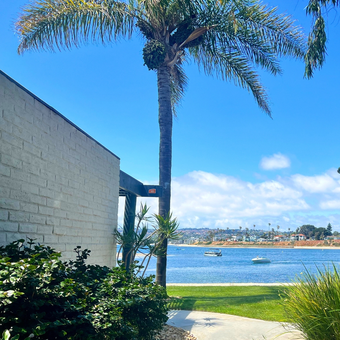 Vacation views ☀️.

#paradisepointsd #sandiego #vacation #visitsd #travelmood