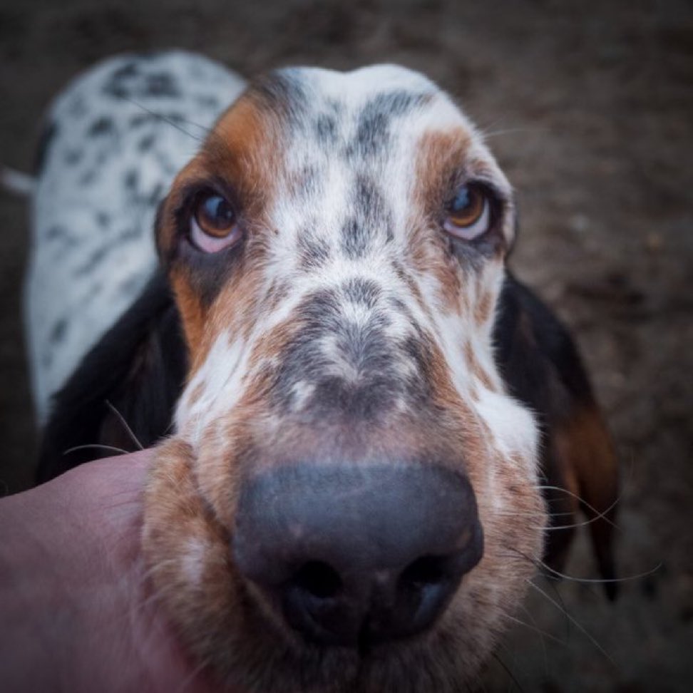 Phil Sledge tweet media