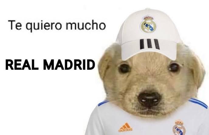 Dyn_Osaurio's tweet photo. @realmadrid  #ChampionsLeague #RealMadridManchesterCity #RealMadrid https://t.co/6ApTCab0Zl