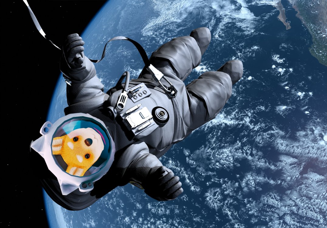 belkacoin's tweet photo. Oh, still messing with those basic coins? Cute. 🙄 #Belka's in a whole different league, y'all better recognize. 🚀 Just watch this space, it's about to explode! 🔥 $BELKA https://t.co/lhgIvb3evT