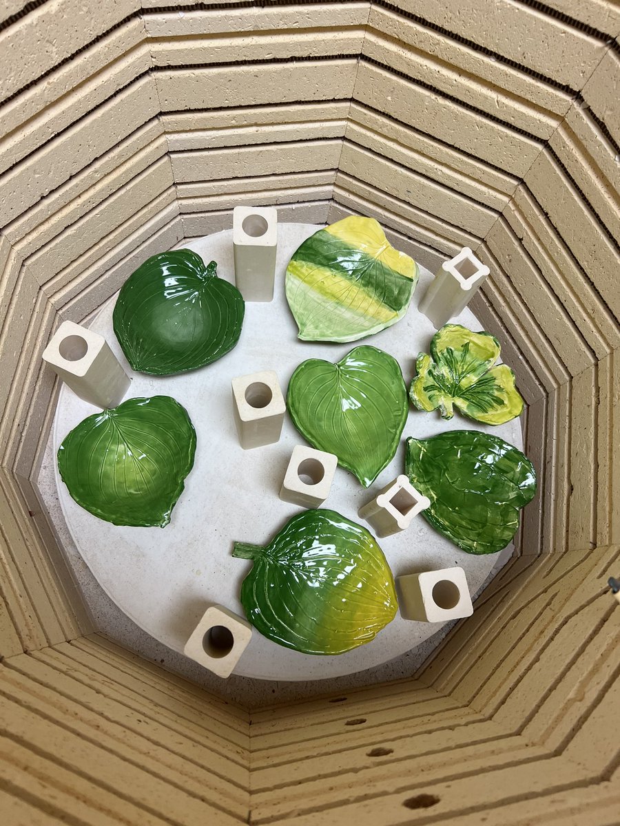 4th and 5th graders have been busy little clay magicians, turning real Hosta leaves (and others) into ceramic bowls! They are turning out beautifully! 🍁 🍃 #LeavesofNC #ceramics #pottery #ElementaryArt #SlabBuilding #HandBuilding @JeffreysGroveES