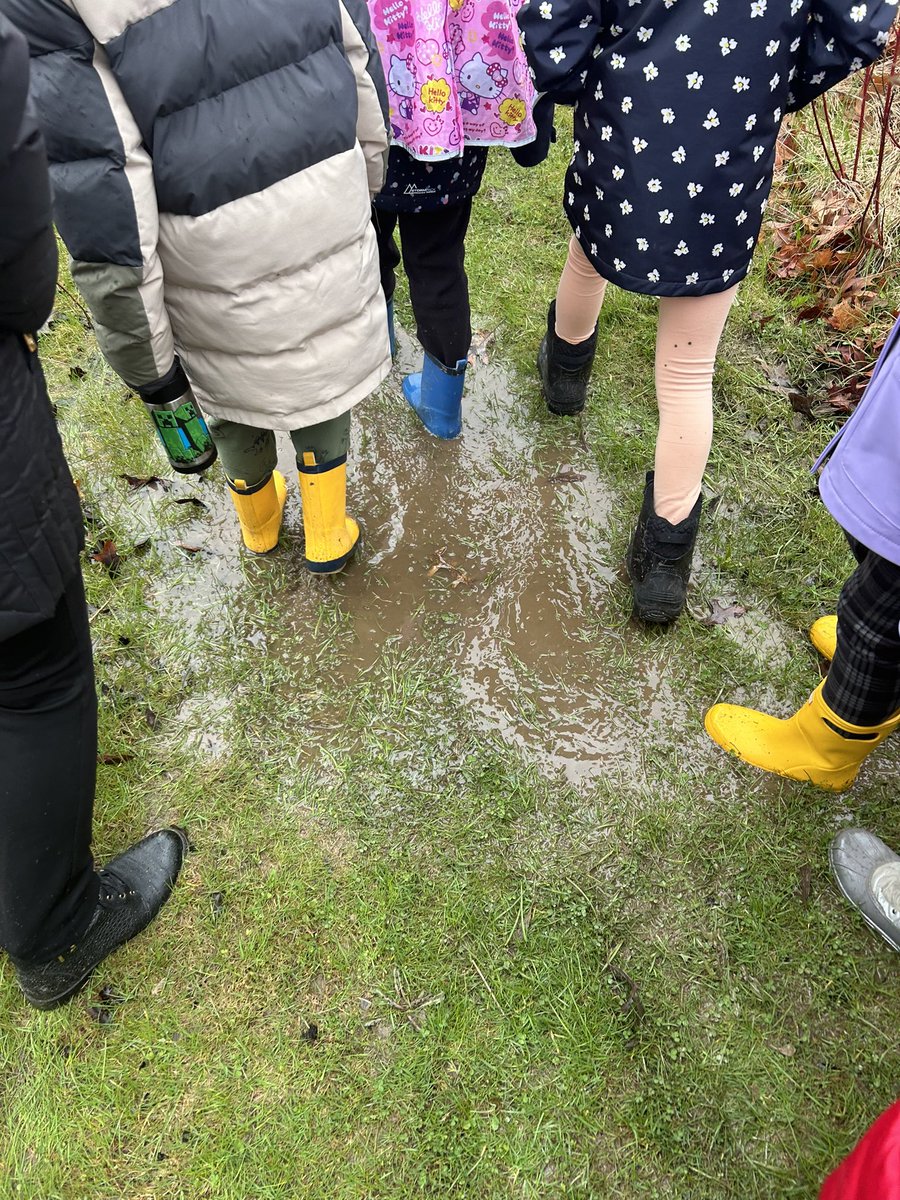 ClassedeMmeD's tweet photo. Thank you for a beautiful and informative nature walk today @HumberArb ! https://t.co/B9iV1db0I1