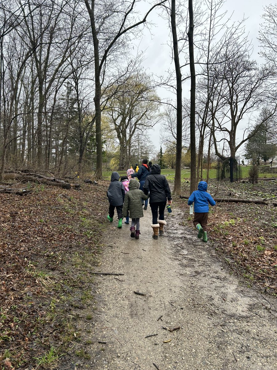 ClassedeMmeD's tweet photo. Thank you for a beautiful and informative nature walk today @HumberArb ! https://t.co/B9iV1db0I1