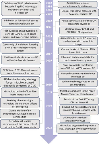 Check out the timeline of advances in this area 🤩👇 There was a gap in research 2 decades and now this has become a very exciting and fast-moving field ahajournals.org/doi/10.1161/HY…