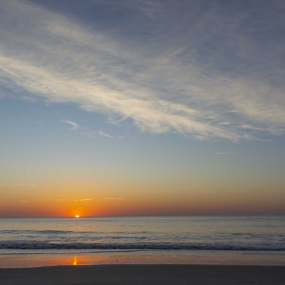 javajoba's tweet image. Would you rather start the day with a moment of inspiration or end the day with reflection time?
#sunsets or a #sunrise #vakphotos
vakphotos.com