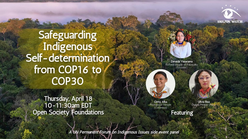 Tomorrow, April 18, from 10-11:30 am at the Open Society Foundations in NYC, hear from Indigenous leaders about the importance of safeguarding the right to self-determination at upcoming global climate conferences, COP16 to COP30. Registration required: eventbrite.com/e/safeguarding…