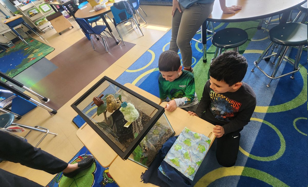 Mrs.Koby (@kobymrs) on Twitter photo We appreciated the help of these 2 LM students when cleaning out 3P's frog tank.🐸🐸🐸
<a href="/LMMahwah/">Lenape Meadows School</a>
<a href="/3pacellifrogs/">Mrs. Pacelli</a> We appreciated the help of these 2 LM students when cleaning out 3P's frog tank.🐸🐸🐸
<a href="/LMMahwah/">Lenape Meadows School</a>
<a href="/3pacellifrogs/">Mrs. Pacelli</a>