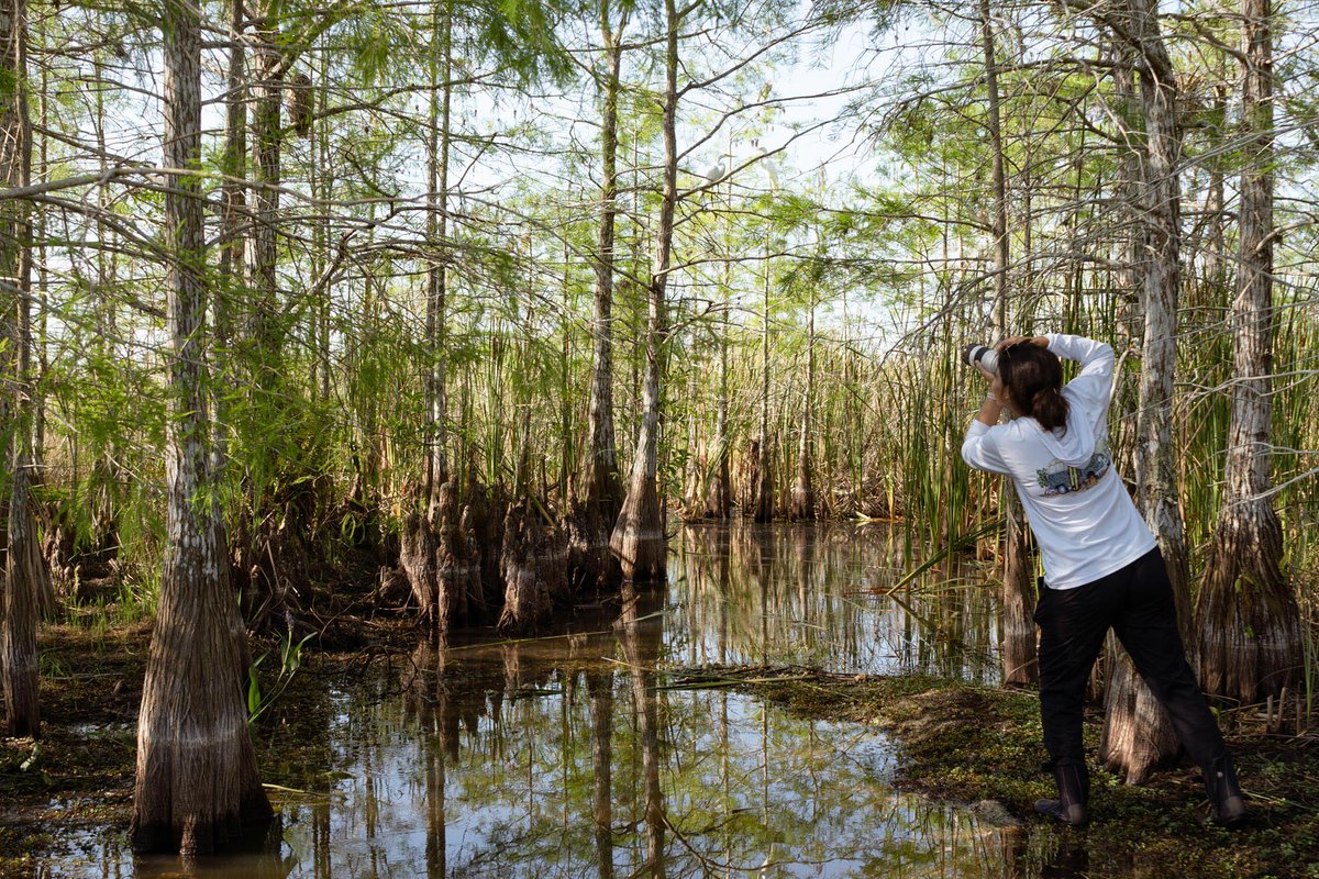 nature_org's tweet image. Here&apos;s to the next generation of changemakers: 
 
🐊 The Everglades evangelist
🌊 The climate communicator 
🔗 The connectors in Utah 
🌱 The Gulf of Mexico defenders
🧵2/4