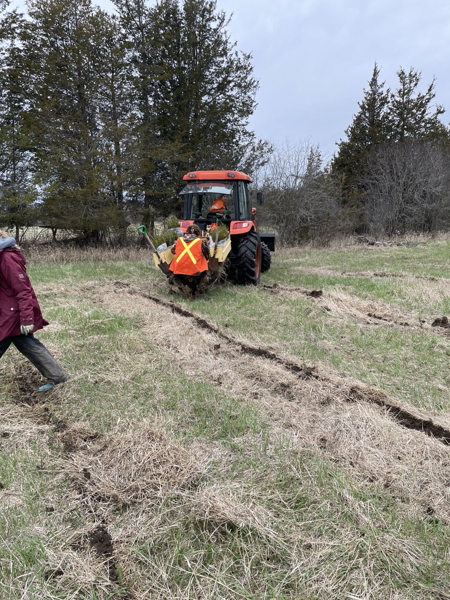 Today, our Sr. Coordinator of Restoration Programs, Amber Brant, attended a 50 Million Tree Program field audit with our Field Advisor Jim Hendry, that was planted by Stephen Pitt with machine planters. Other than a little bit of wind, it was a perfect day for tree planting!