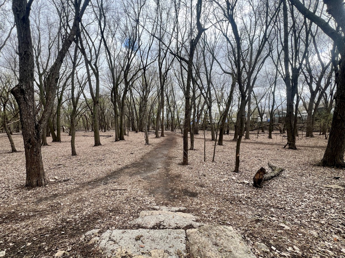 Spring is a reminder that we all have the capacity to grow and change. Get outside and visit a place you want to return to. Take a picture (with your mind, camera, or phone), or sketch it. We’ll return to this spot in a week or two and notice what’s different. #WellnessWednesday