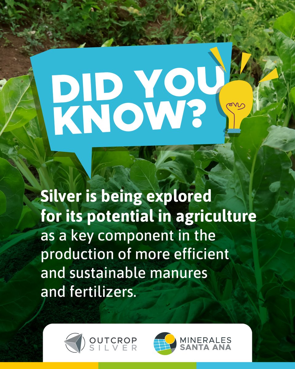 OCG_Silver's tweet photo. Discover how silver is revolutionizing agriculture as an antimicrobial agent in organic fertilizers and a nutrient carrier in fertilizers! 💡🌿

Studies have shown that adding silver nanoparticles to certain types of fertilizers can help reduce the proliferation of pathogenic microorganisms in the soil, which can contribute to better plant health and increased agricultural productivity.

Additionally, some researchers are exploring the use of silver nanoparticles as a way to enhance the efficiency of fertilizers by acting as vehicles for controlled nutrient release in the soil, which could help reduce nutrient loss through leaching and improve nutrient absorption by plants.

In summary, silver not only has applications in medicine and technology 💉🖥, but is also being researched for its potential in agriculture 🚜 as a key component in producing more efficient and sustainable fertilizers and fertilizers.

$OCG.V $OCGSF #Silver #Gold @OCG_SilverGold
Santa Ana - Future World’s Highest-Grade Primary Silver Producer