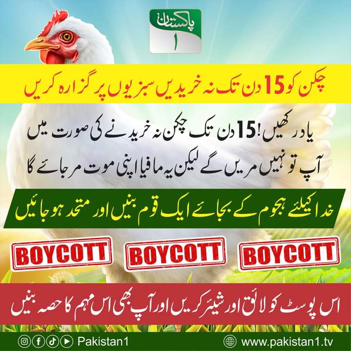 پاکستان میں بائیکاٹ چکن مہم کا باقاعدہ آگاز !!!

#pakistan1 #chicken #chickenprice #farming #pakistantv #boycott #chickenboycott #chicks #chickenfarming